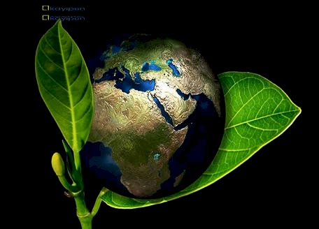 ÇEVRE DOSTU ÜRÜN KULLANMAK NEDEN ÖNEMLİDİR