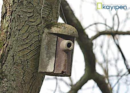 AHŞAP MALZEMENİN ÖMRÜ NE KADARDIR