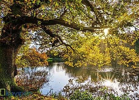 ÇEVREYİ KORUMANIN YOLLARI